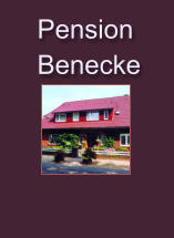 Pension   Benecke