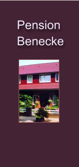 Pension   Benecke